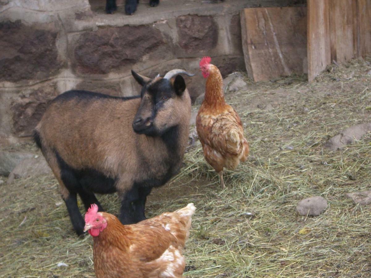 Kompatscherhof カステルロット エクステリア 写真